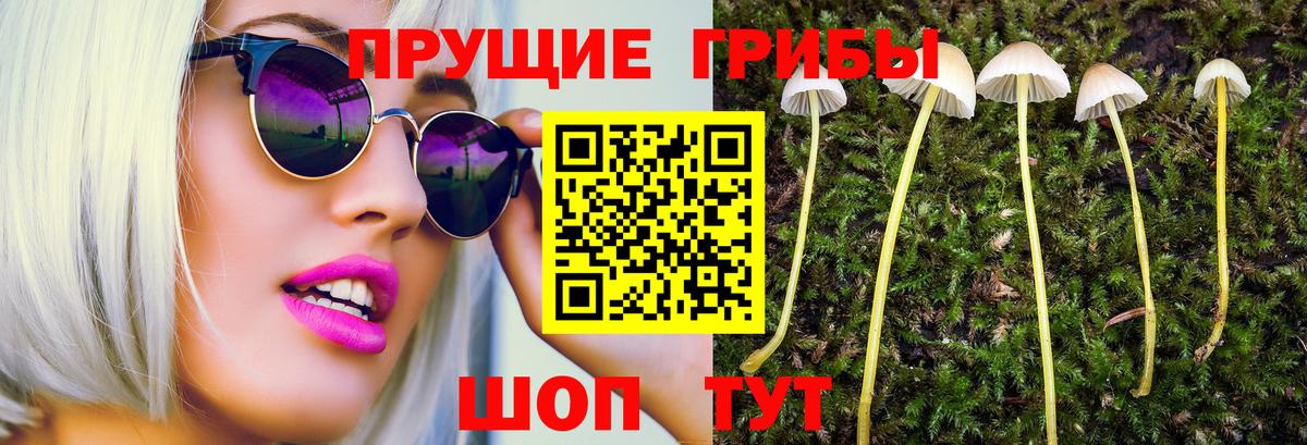 купить  сайты  Вход с VPN  Балабаново  Псилоцибиновые грибы прущие грибы 