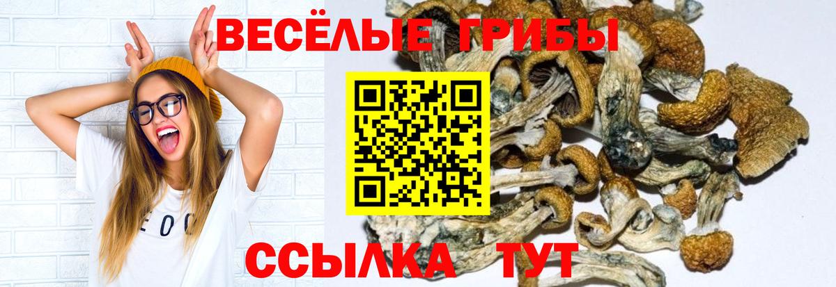 Псилоцибиновые грибы GOLDEN TEACHER Балабаново